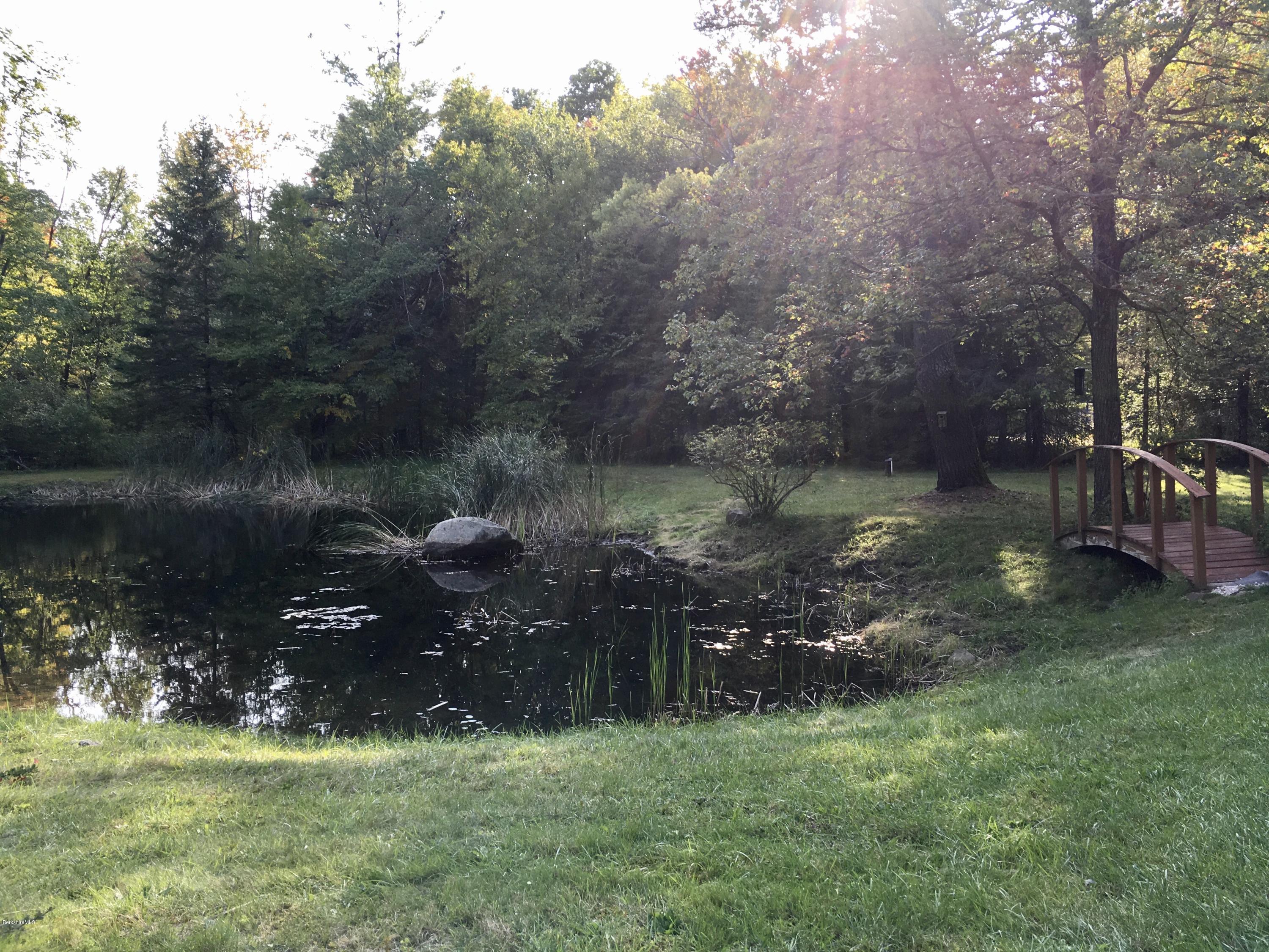 168 North Beech Plain Road Sandisfield, MA 01255 - Photo 4 of 40 Private Pond 13 ft Deep