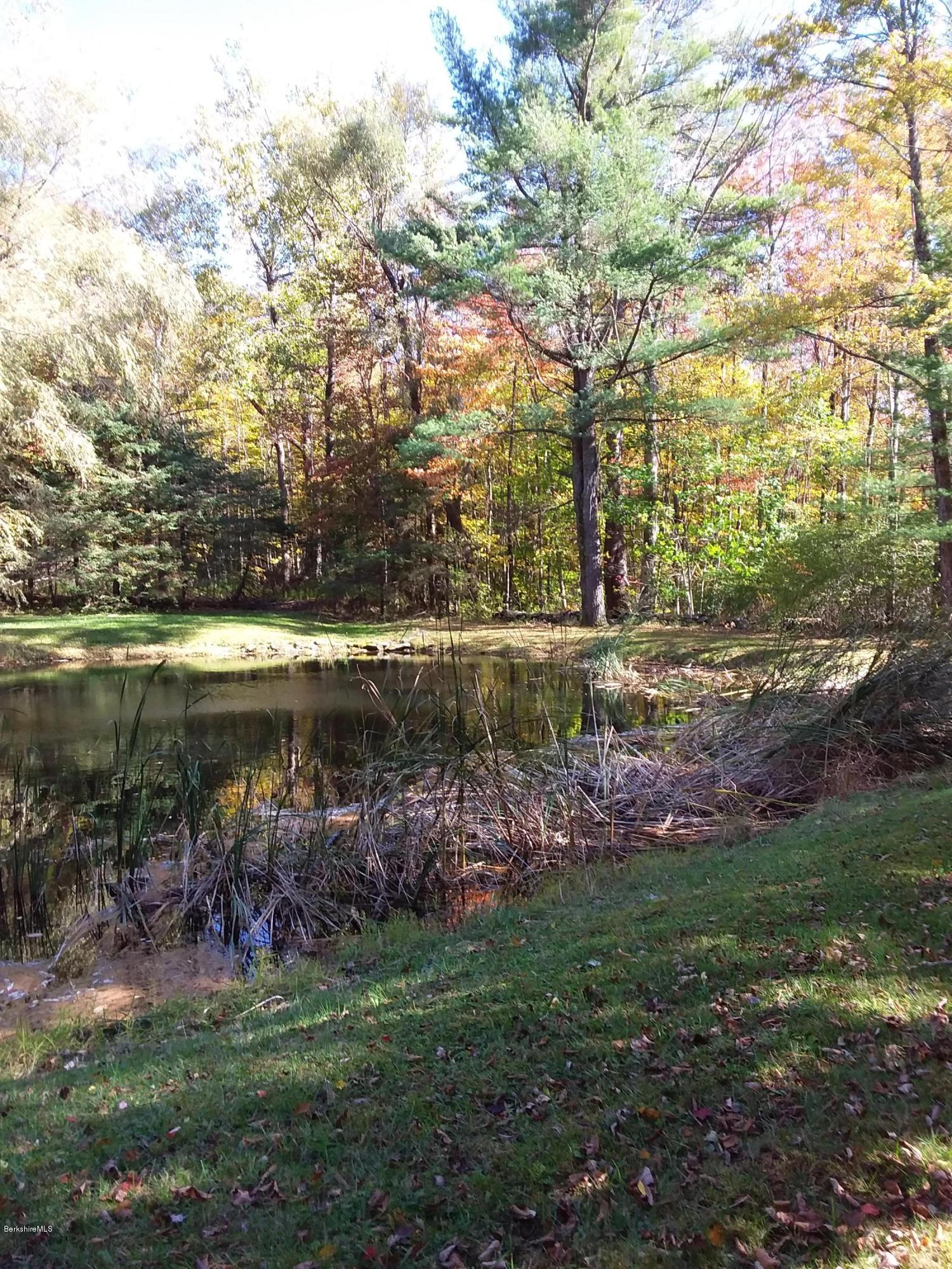 168 North Beech Plain Road Sandisfield, MA 01255 - Photo 37 of 40 20201009_144847