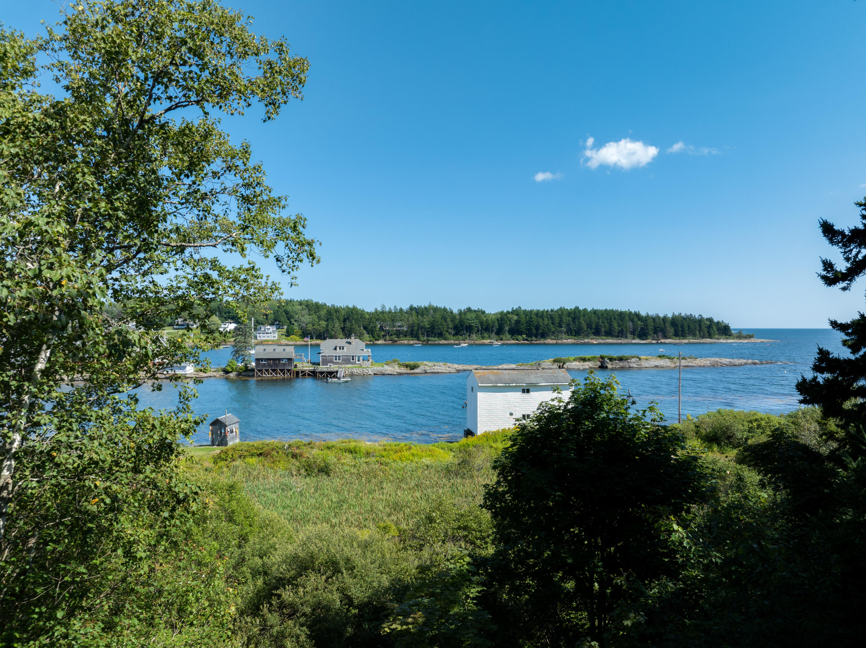 7 Leeman Road Orrs Island, ME 04066 - Photo 25 of 50 Chickadee Imagery-61