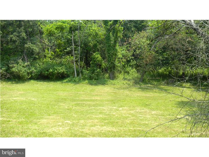 371 Mountain View Road Skillman, NJ 08558 - Photo 11 of 11 Back Yard