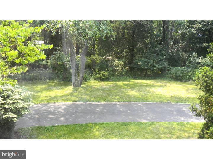 371 Mountain View Road Skillman, NJ 08558 - Photo 10 of 11 Side Yard