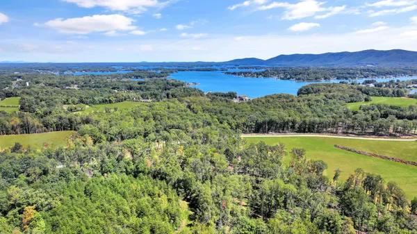 a view of a lush green hillside and a houses