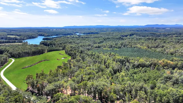 a view of a city with lush green forest