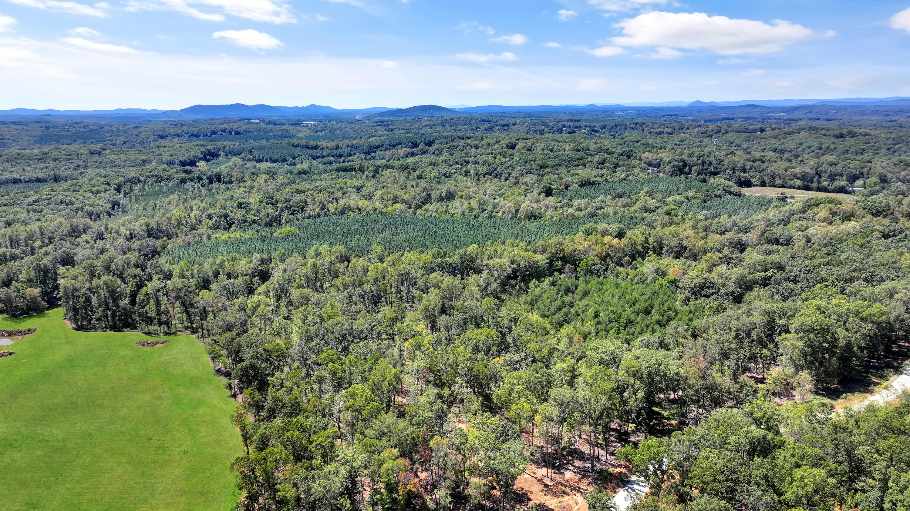 Lot 32 Hidden Treasures Lane Union Hall, VA 24176 - Photo 4 of 11 a view of a lush green forest with trees in the background