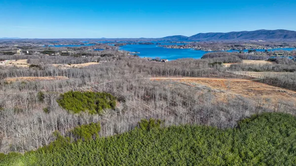a view of a lake with a mountain