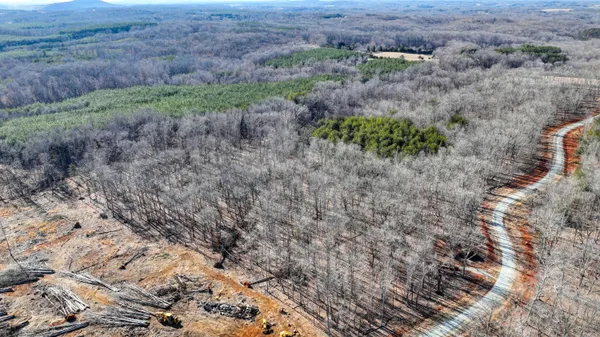 a view of a dry yard