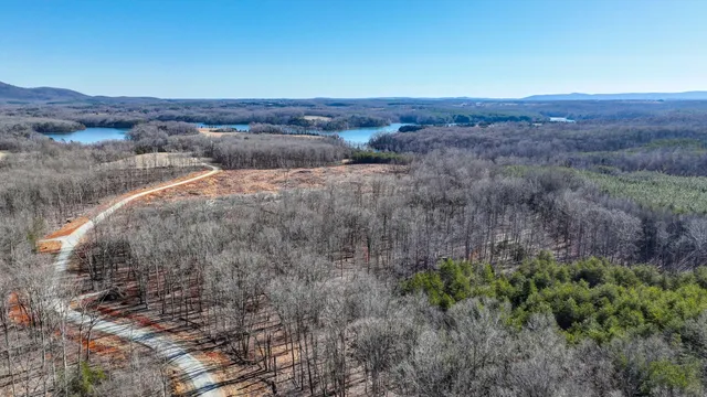 a view of a dry yard with green space