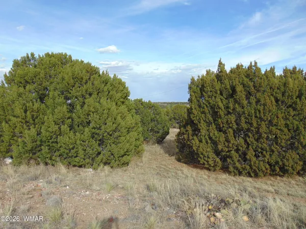 $9,500 | 46 Crest Lane, Concho, AZ 85924