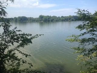 0 Woods Lake Road Decherd, TN 37324 - Photo 1 of 3 a view of a lake