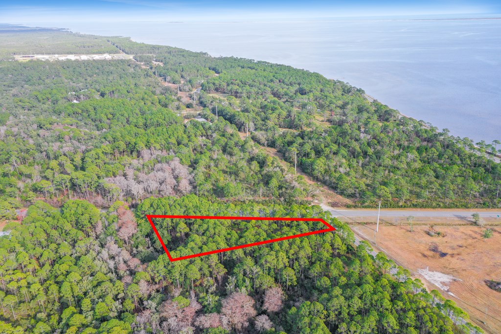45 Highway 65 Eastpoint, FL 32328 - Photo 3 of 5