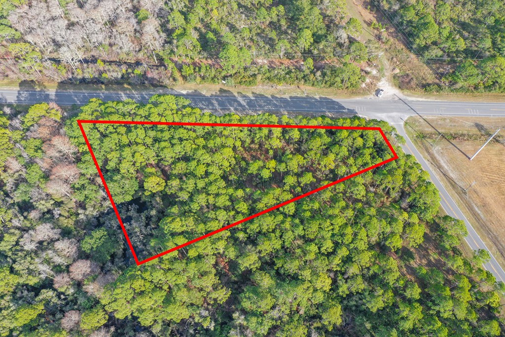 45 Highway 65 Eastpoint, FL 32328 - Photo 4 of 5