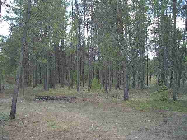 0 Stateline Road Newport, WA 99156 - Photo 1 of 3 Gallery Image 1