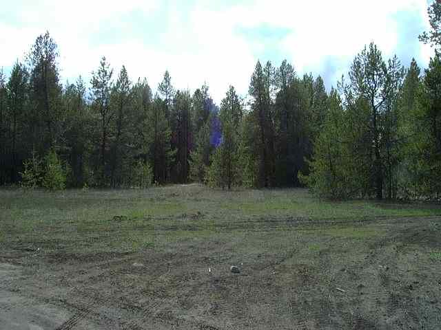 0 Stateline Road Newport, WA 99156 - Photo 2 of 3 Gallery Image 2