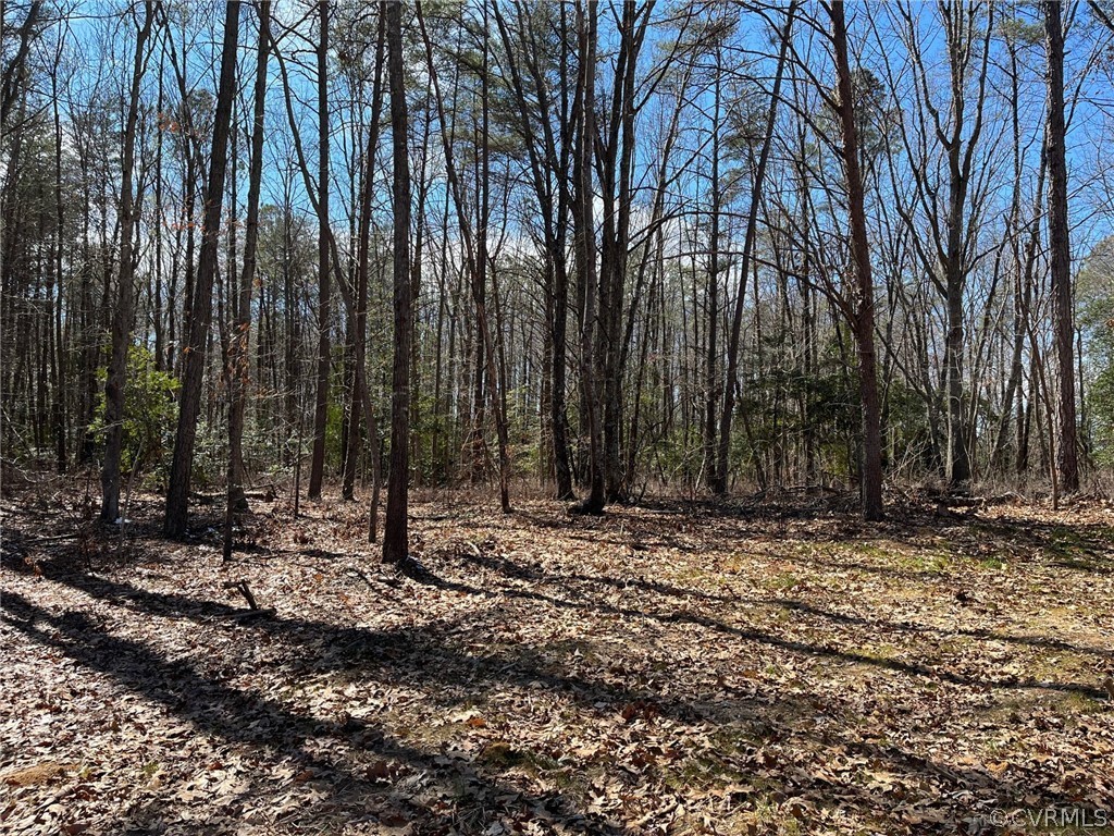 0 Locust Grove Road Bowling Green, VA 22427 - Photo 1 of 2 Property