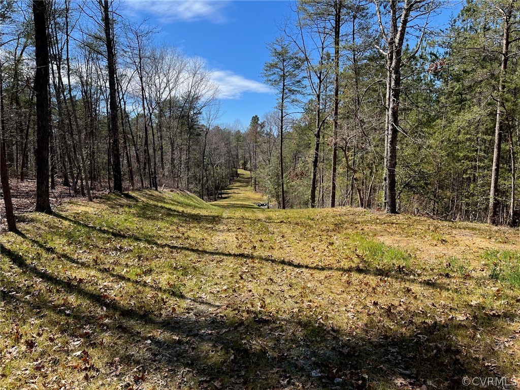 0 Locust Grove Road Bowling Green, VA 22427 - Photo 2 of 2 Driveway