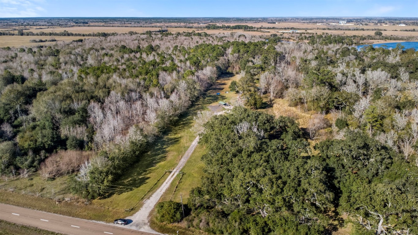 33349 Interstate 10 Hankamer, TX 77560 - Photo 28 of 28 a view of a city with lush green forest