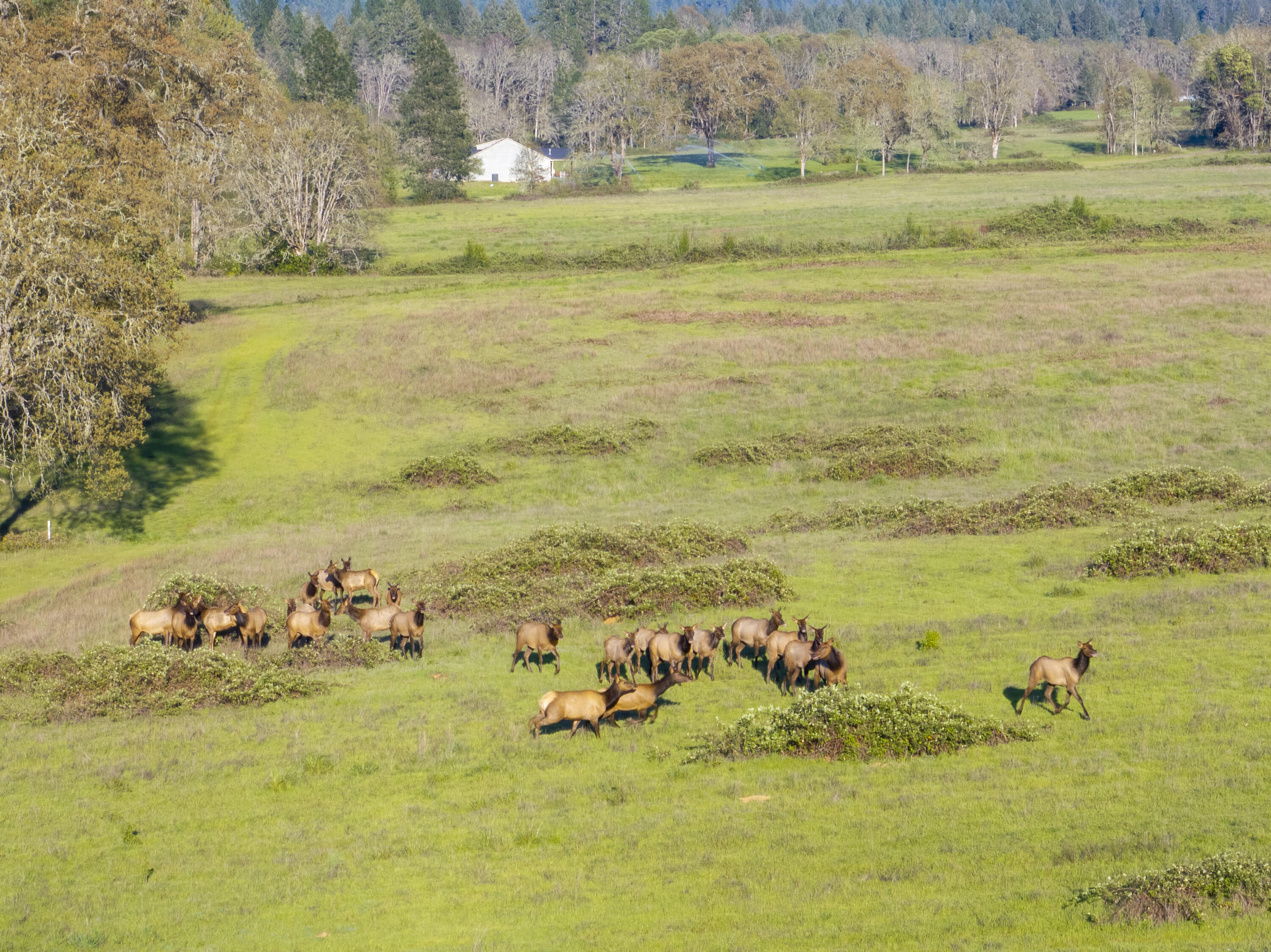 1775 Leland Road Wolf Creek, OR 97497 - Photo 12 of 49 Leland12
