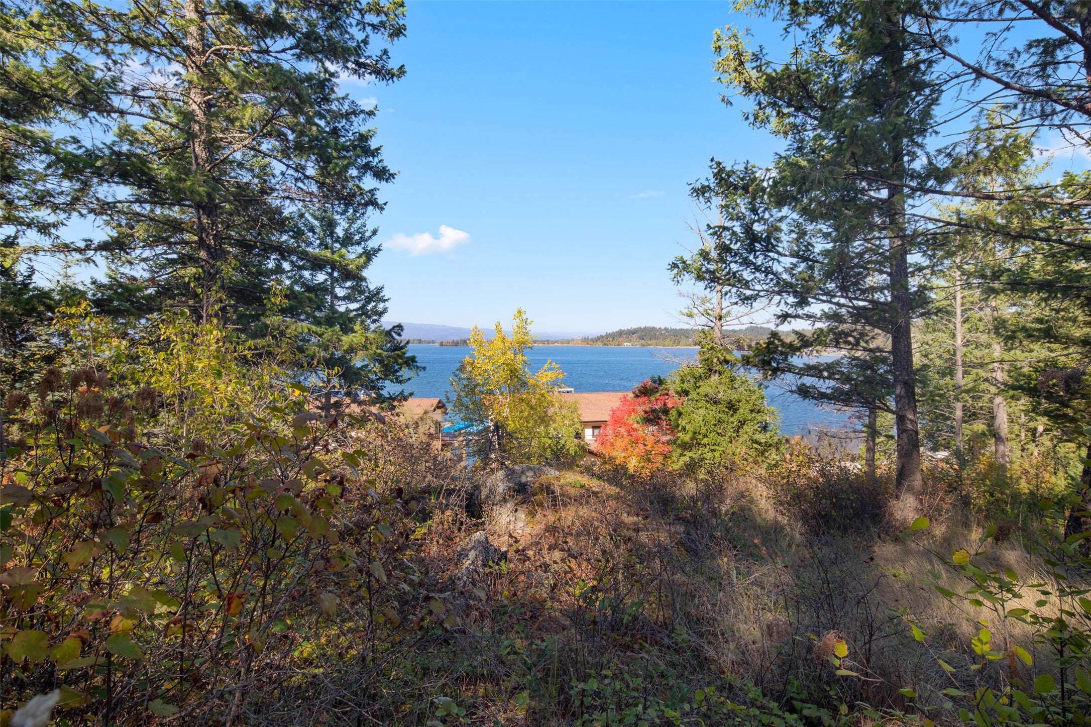 142 Whisper Rdg Drive Bigfork, MT 59911 - Photo 1 of 17 Gallery Image 1