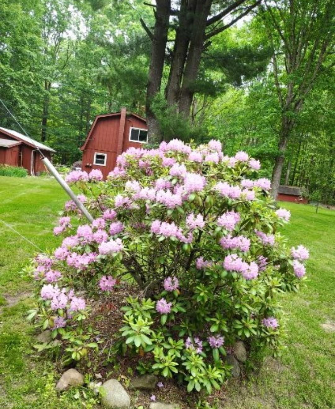 7241 Bryce Road North Street, MI 48049 - Photo 62 of 64 Gallery Image 62