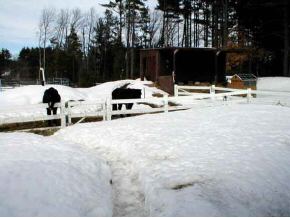 46 Tallant Road Pelham, NH 03076 - Photo 3 of 6