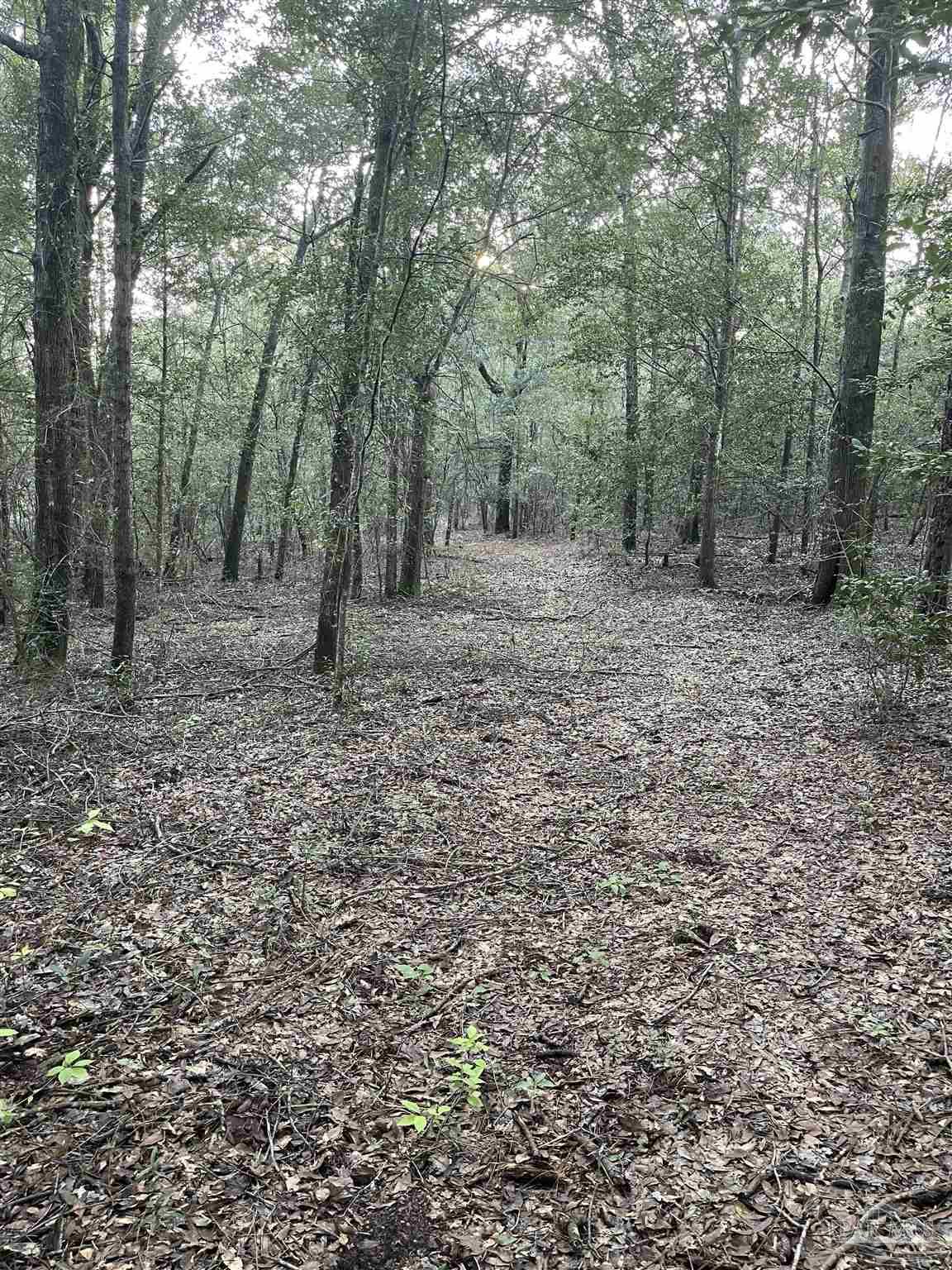 Gallery Image 6