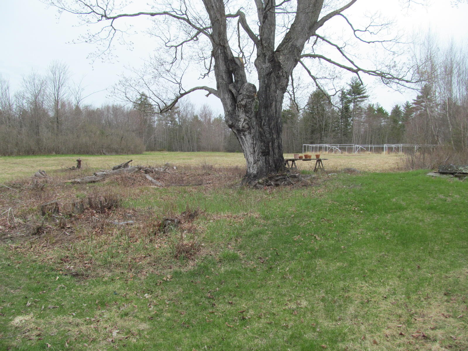 80 Abbott Road North Berwick, ME 03906 - Photo 27 of 37 side yard
