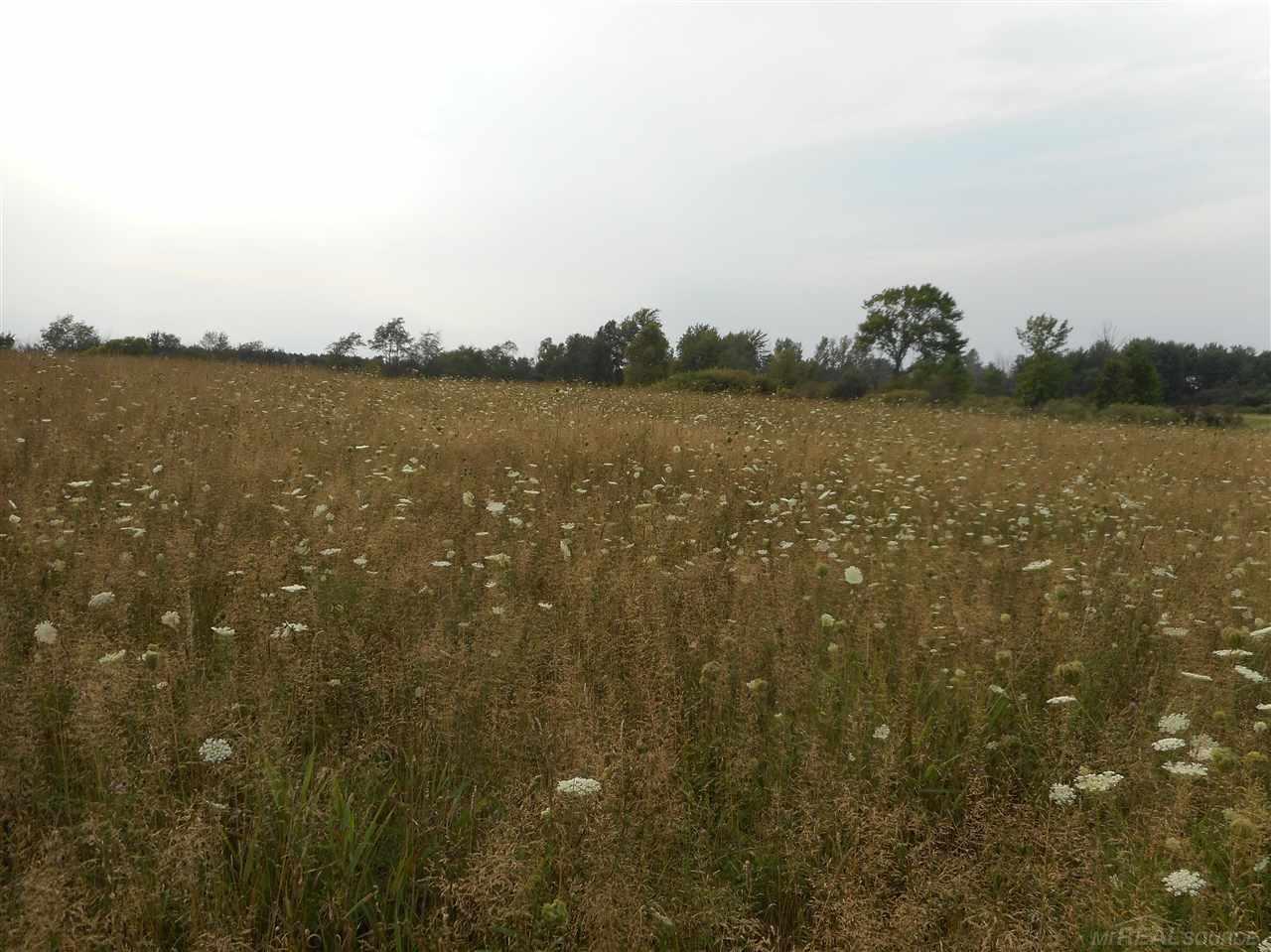 Vl Jordan Road Melvin, MI 48454 - Photo 11 of 22