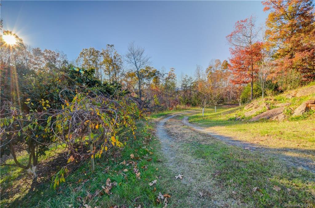 139 Cove Springs Road Rutherfordton, NC 28139 - Photo 18 of 19 Gallery Image 18