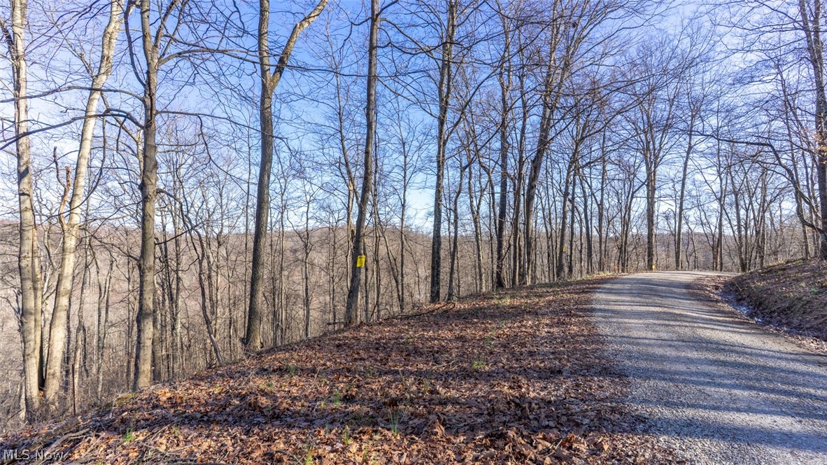 0 Clem Garvin Road Caldwell, OH 43724 - Photo 43 of 50 View of road