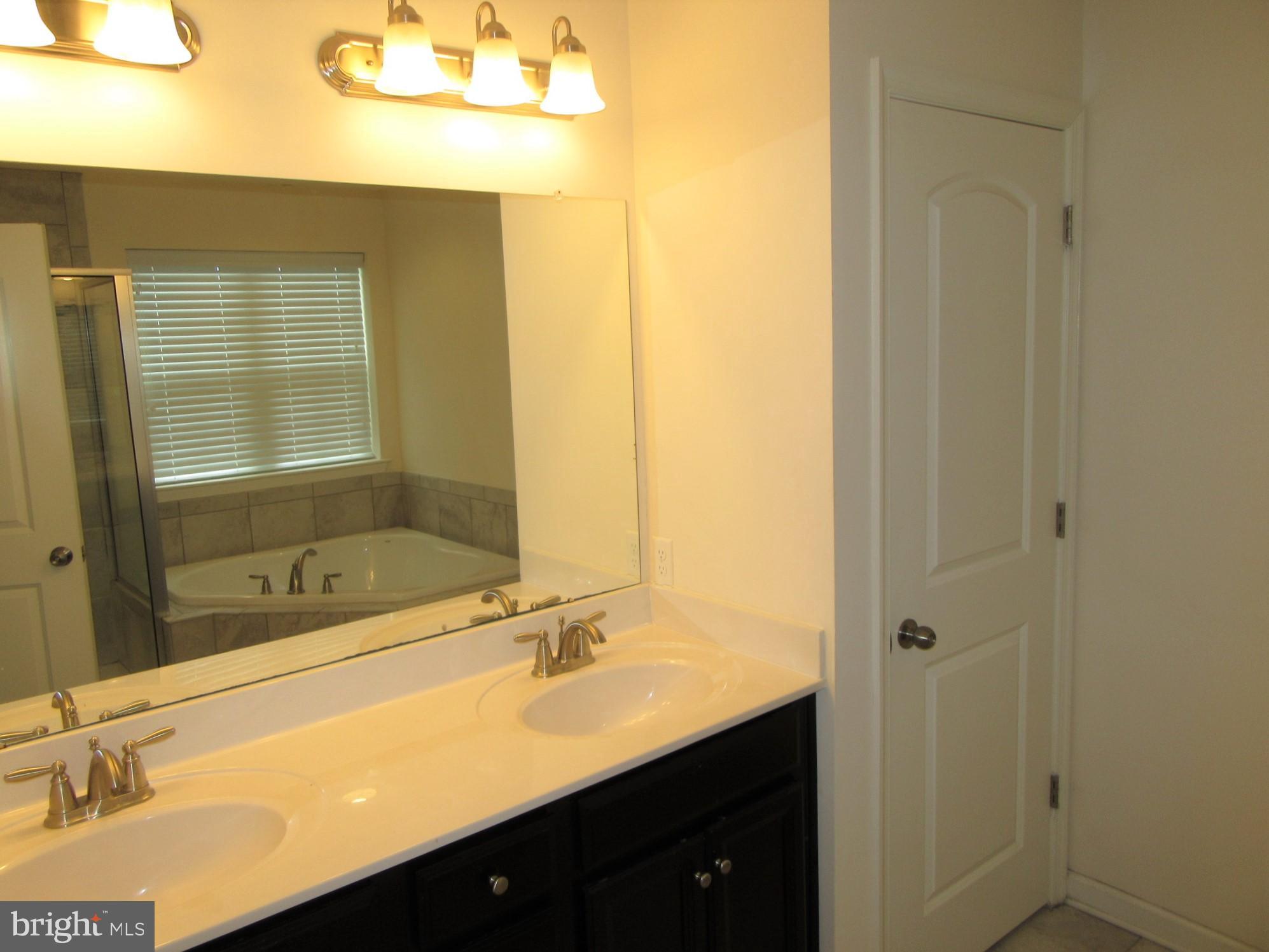 533 Liam Place Bear, DE 19701 - Photo 11 of 21 primary BR bath vanity