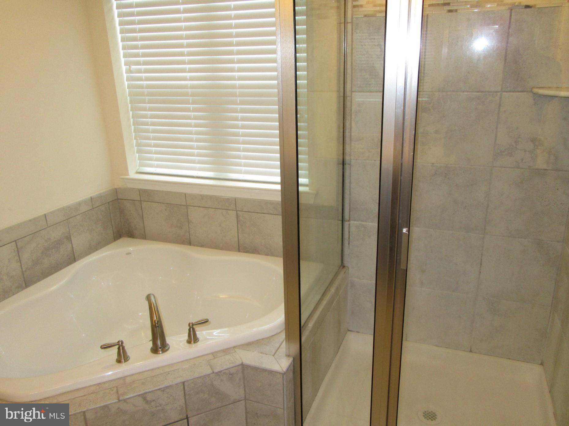 533 Liam Place Bear, DE 19701 - Photo 12 of 21 primary BR bath soaking tub & shower