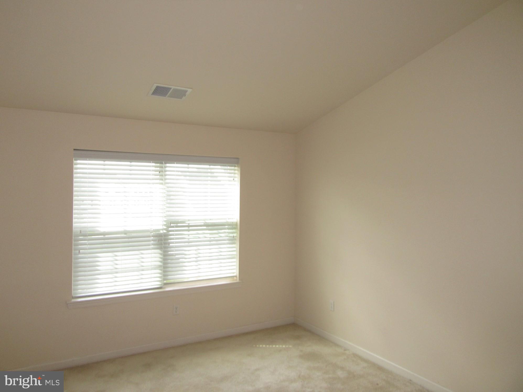 533 Liam Place Bear, DE 19701 - Photo 9 of 21 primary BR with vaulted ceiling