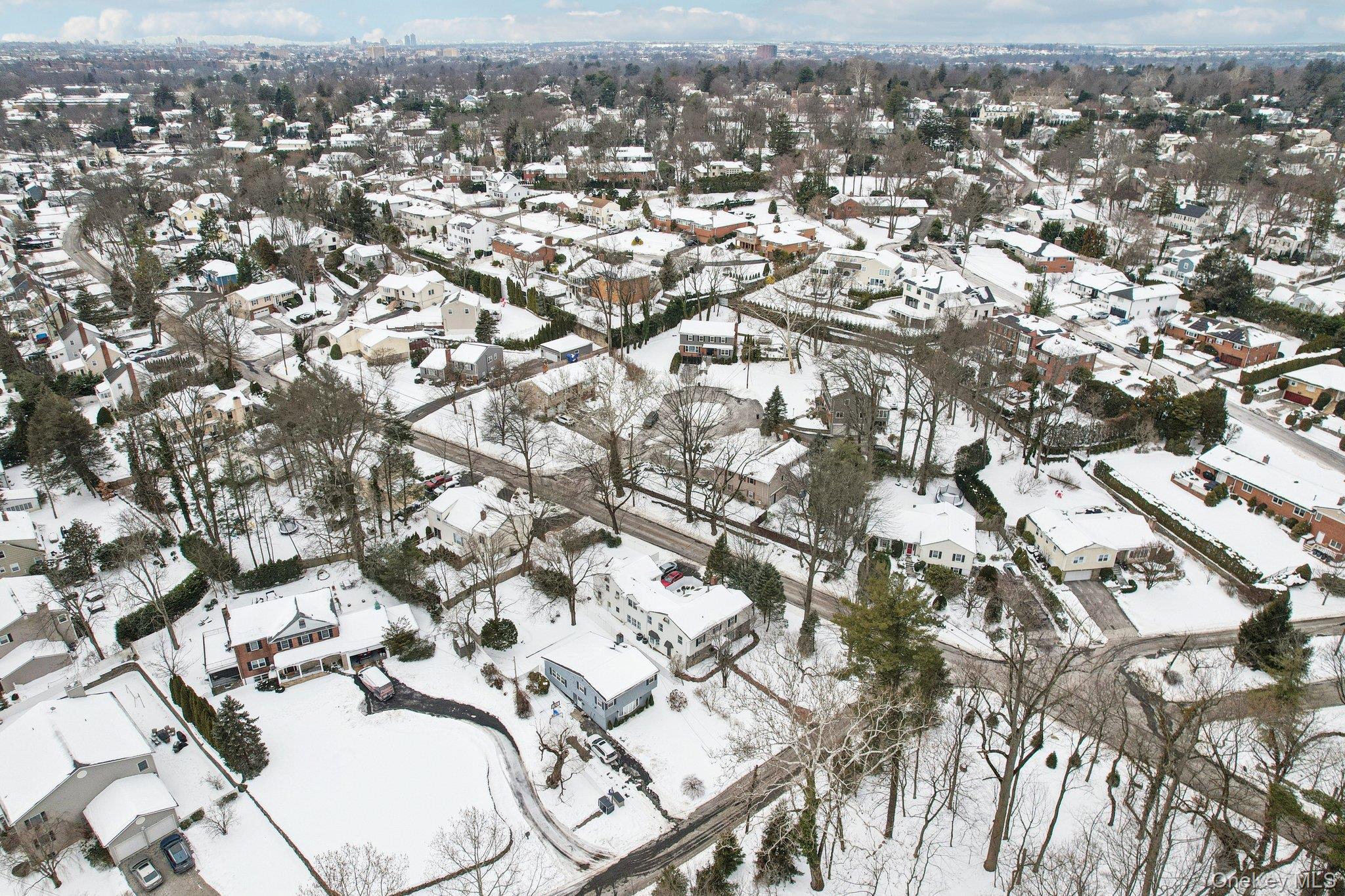 56 Hewitt Avenue Bronxville, NY 10708 - Photo 43 of 50