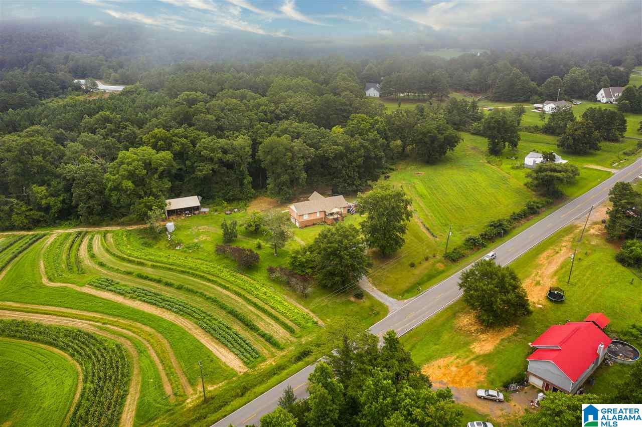 3408 Highway 1 Oneonta Al Oneonta, AL 35121 - Photo 50 of 50