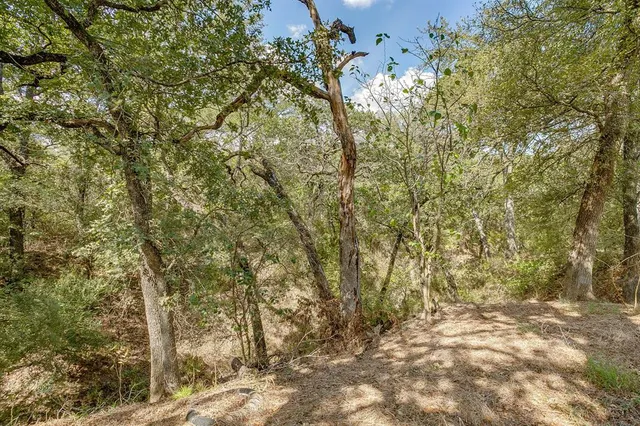 a view of a yard with a tree