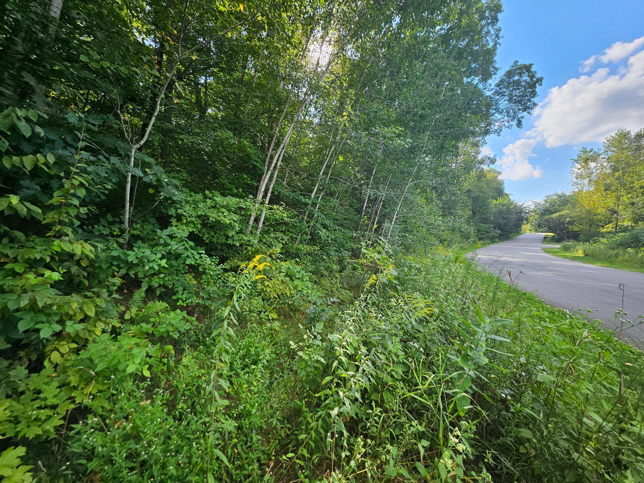 Tbd 263rd Street Shafer, MN 55074 - Photo 4 of 4