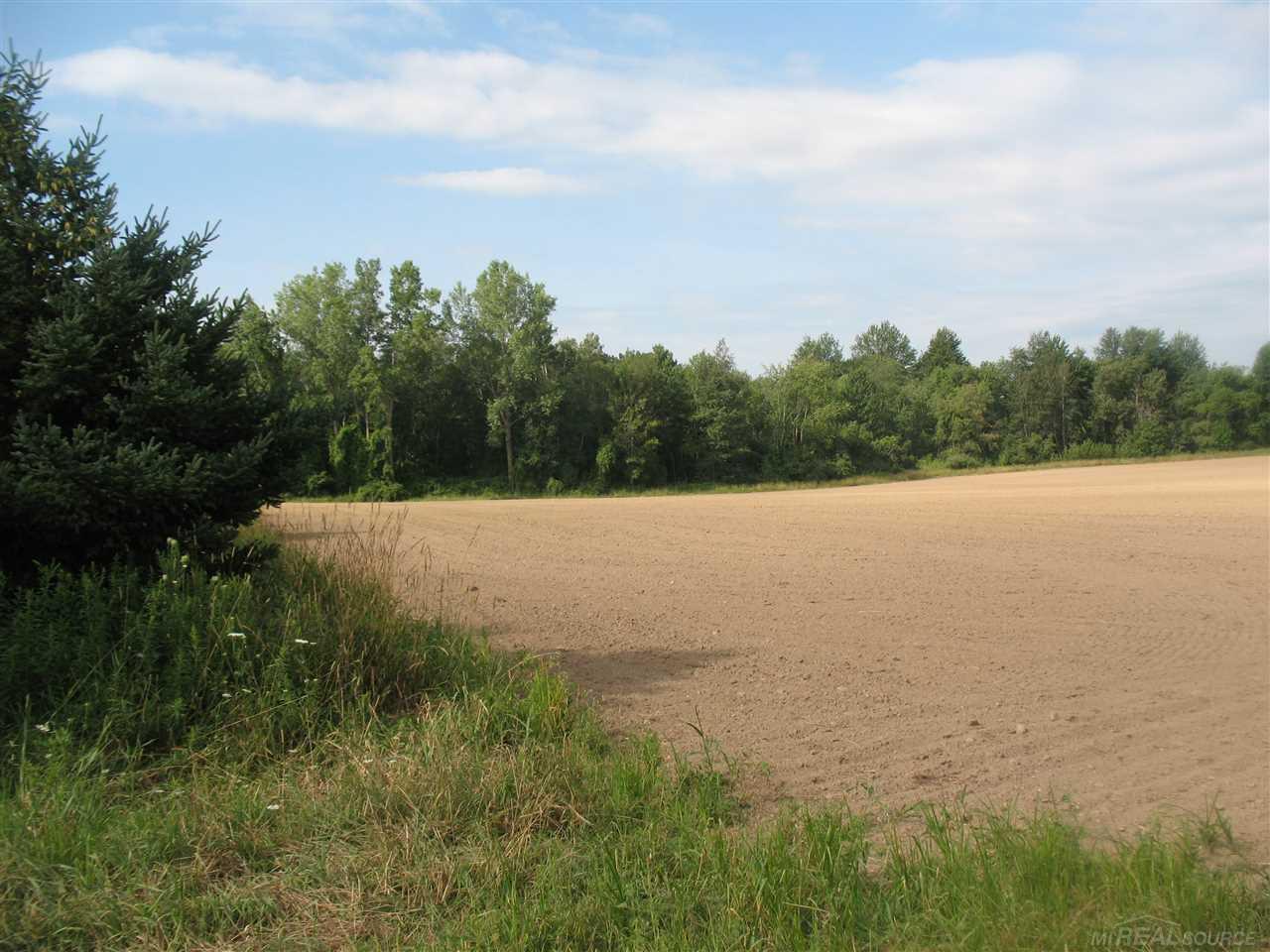 375 Charleston Road Ubly, MI 48475 - Photo 61 of 67 31380513-60.JPG