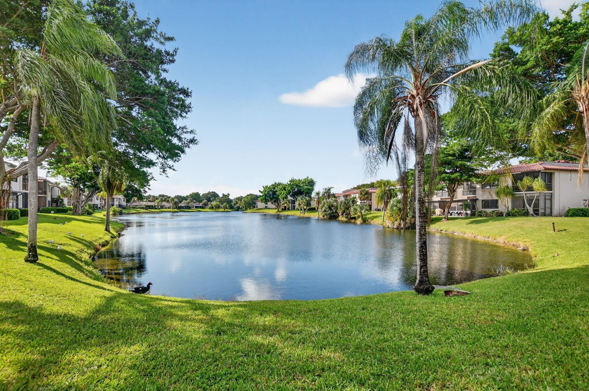 21476 Juego Circle, Unit 8C Boca Raton, FL 33433 - Photo 43 of 54 a view of a lake with houses