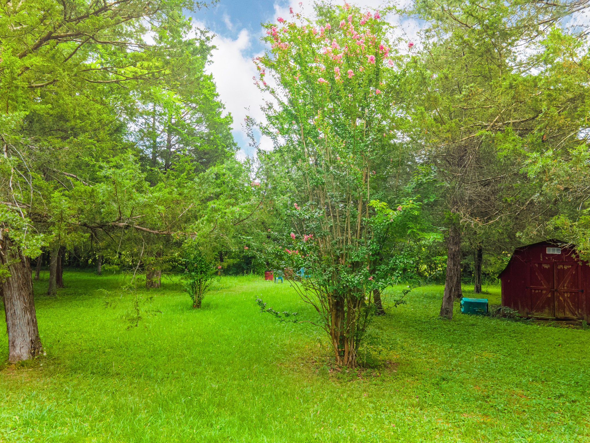 2756 Glasscock Road Lewisburg, TN 37091 - Photo 33 of 48 a green field with lots of trees