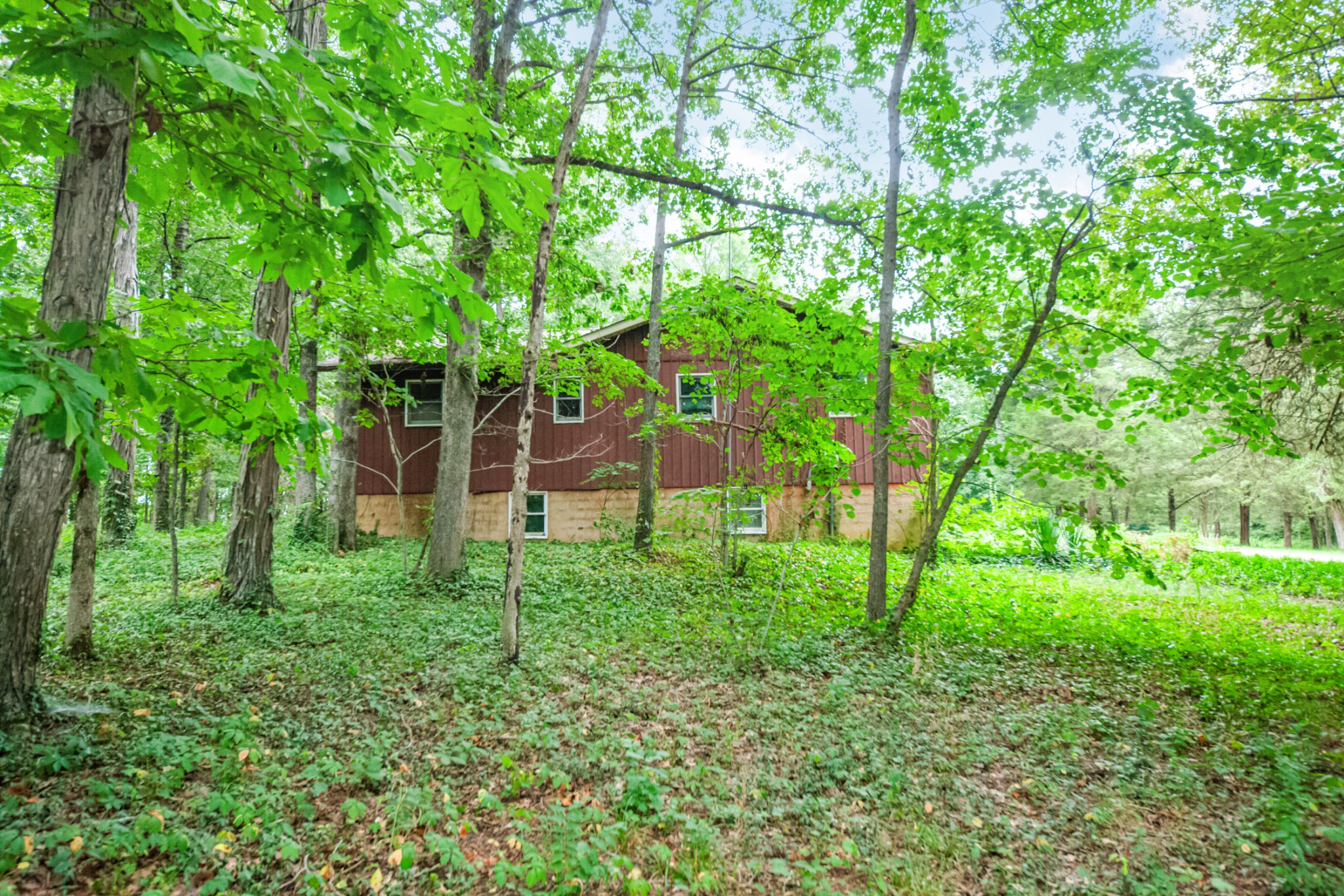 2756 Glasscock Road Lewisburg, TN 37091 - Photo 35 of 48 a view of backyard with green space