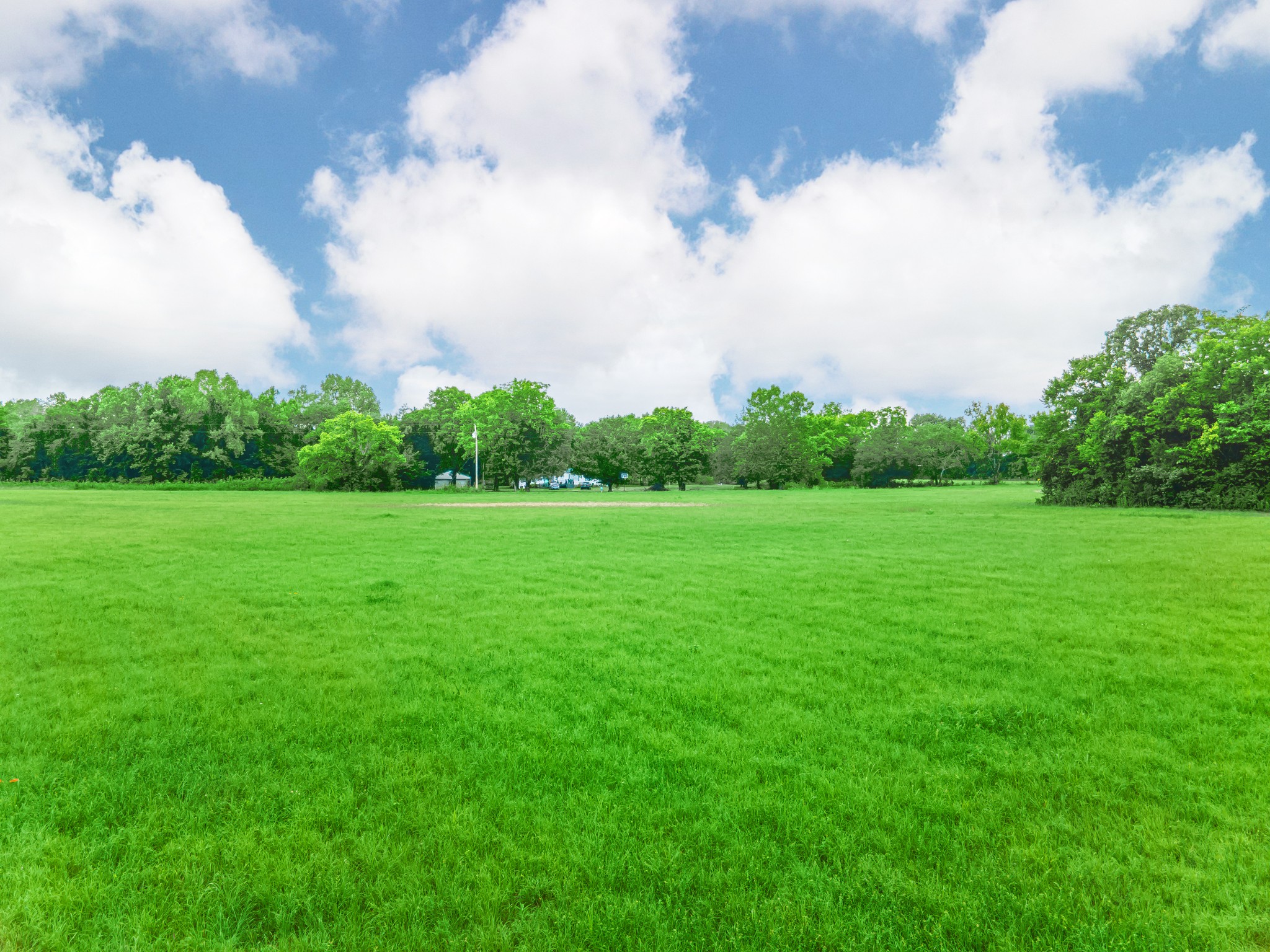 2756 Glasscock Road Lewisburg, TN 37091 - Photo 42 of 48 a view of a green field