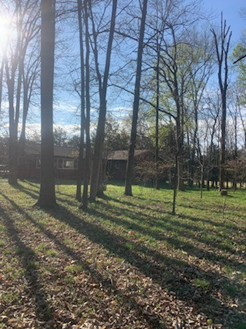 2756 Glasscock Road Lewisburg, TN 37091 - Photo 47 of 48 a view of a yard with a tree
