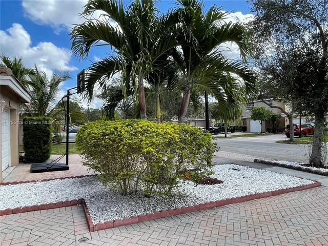 a view of a yard with plants
