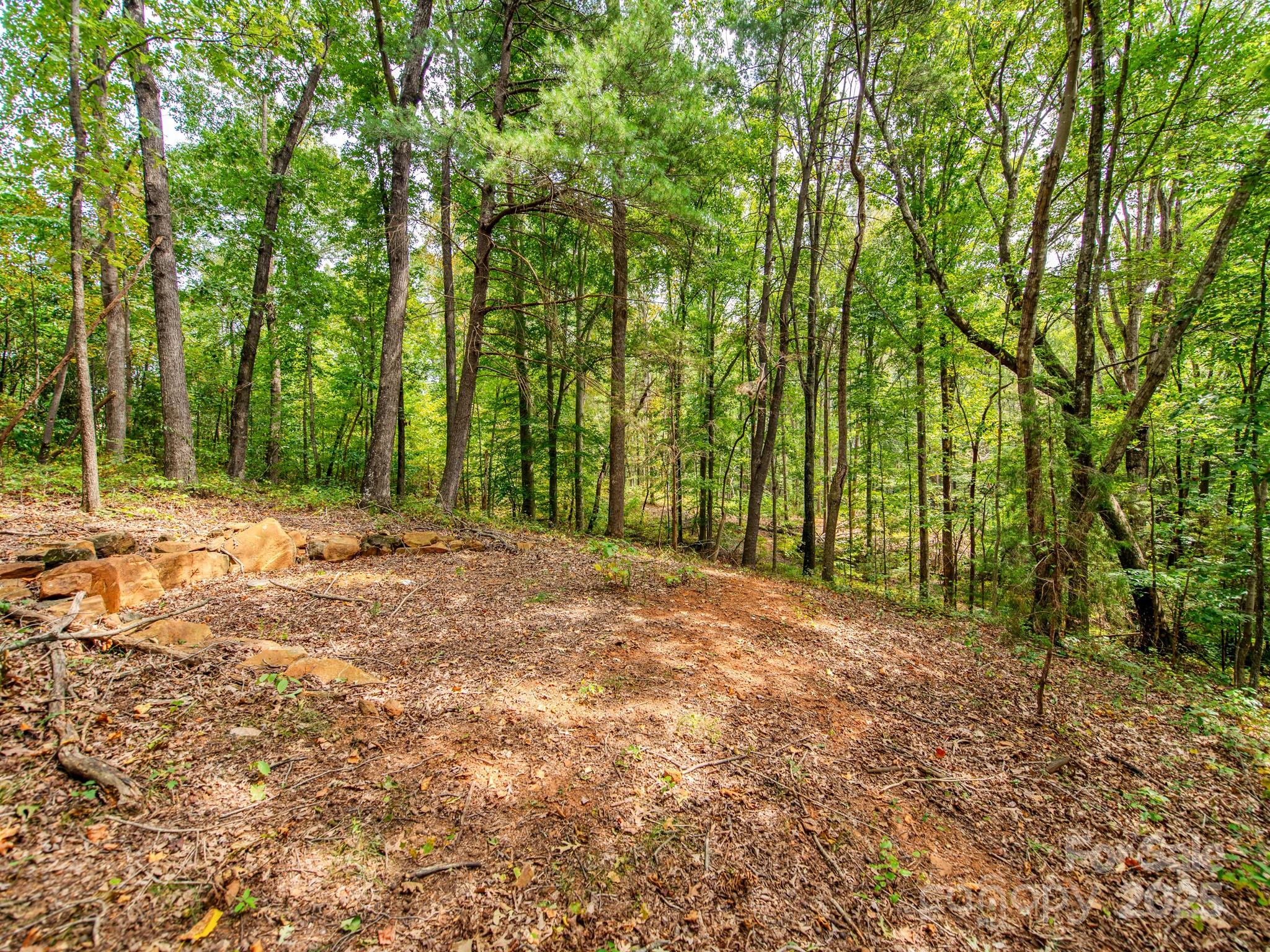 481 Eupeptic Springs Road, Unit LOT 5 Olin, NC 28660 - Photo 12 of 20 a view of backyard with tree