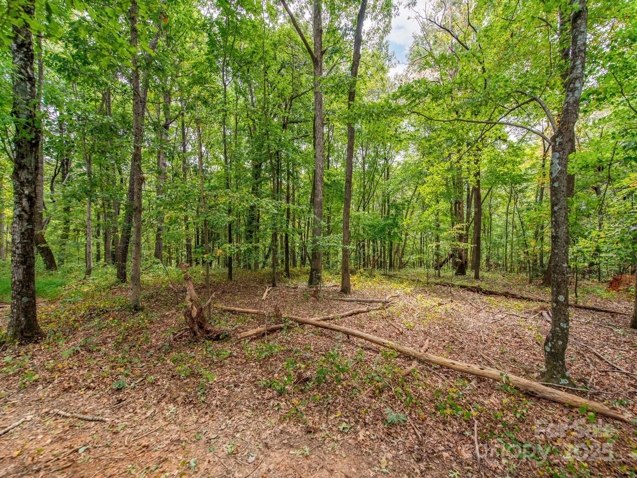 481 Eupeptic Springs Road, Unit LOT 5 Olin, NC 28660 - Photo 14 of 20 a backyard of a house with lots of trees