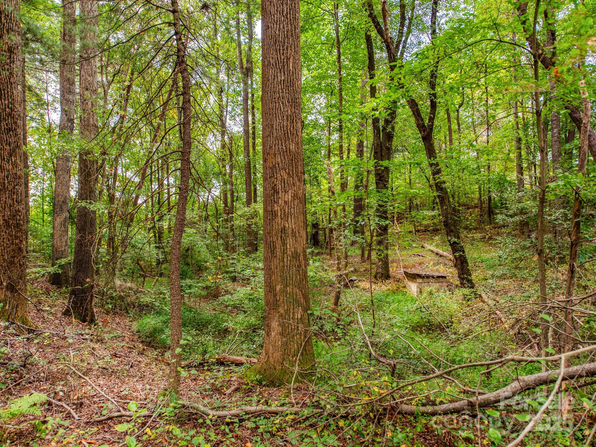 481 Eupeptic Springs Road, Unit LOT 5 Olin, NC 28660 - Photo 16 of 20 a view of a garden