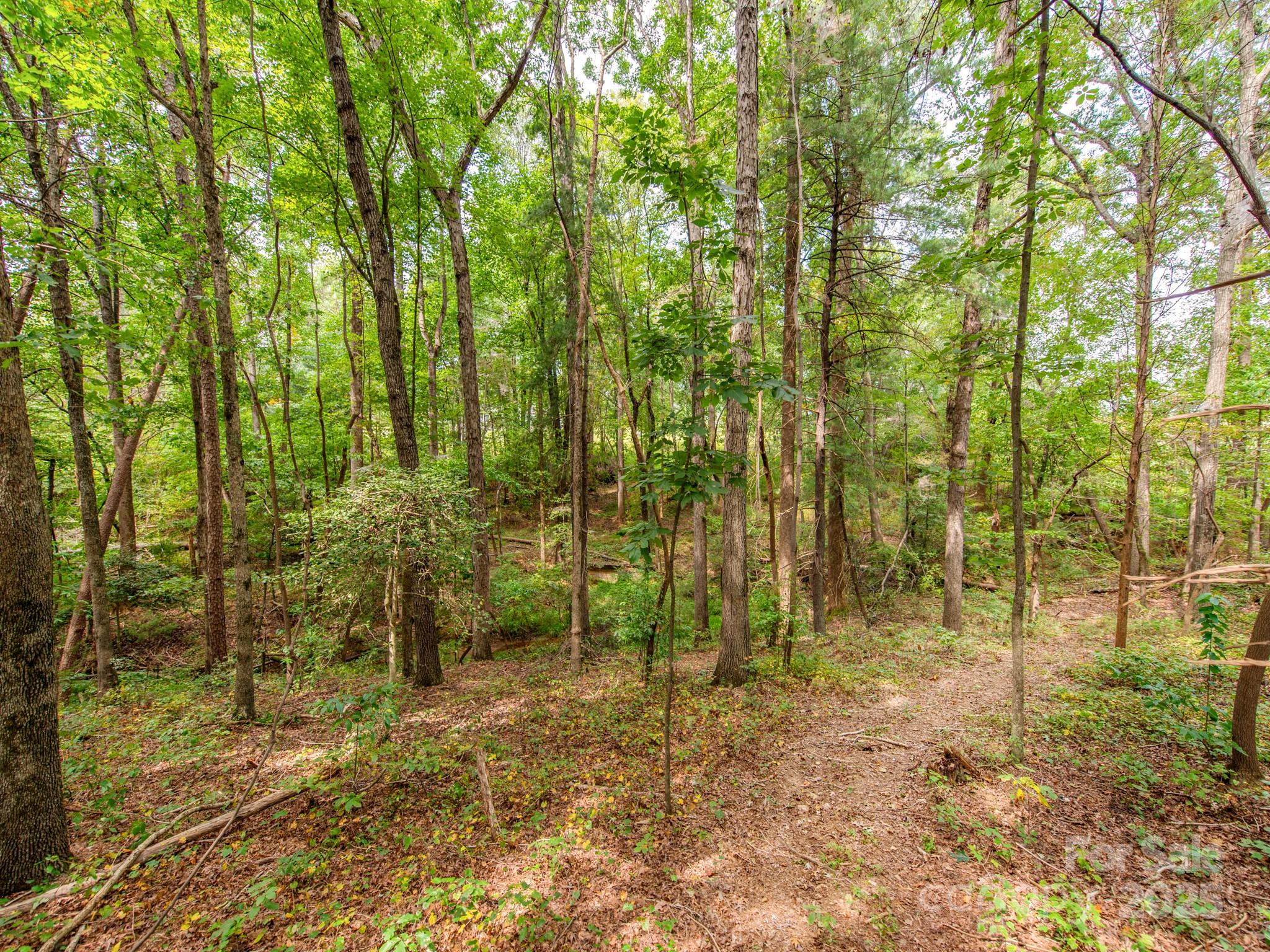 481 Eupeptic Springs Road, Unit LOT 5 Olin, NC 28660 - Photo 17 of 20 a view of under construction area