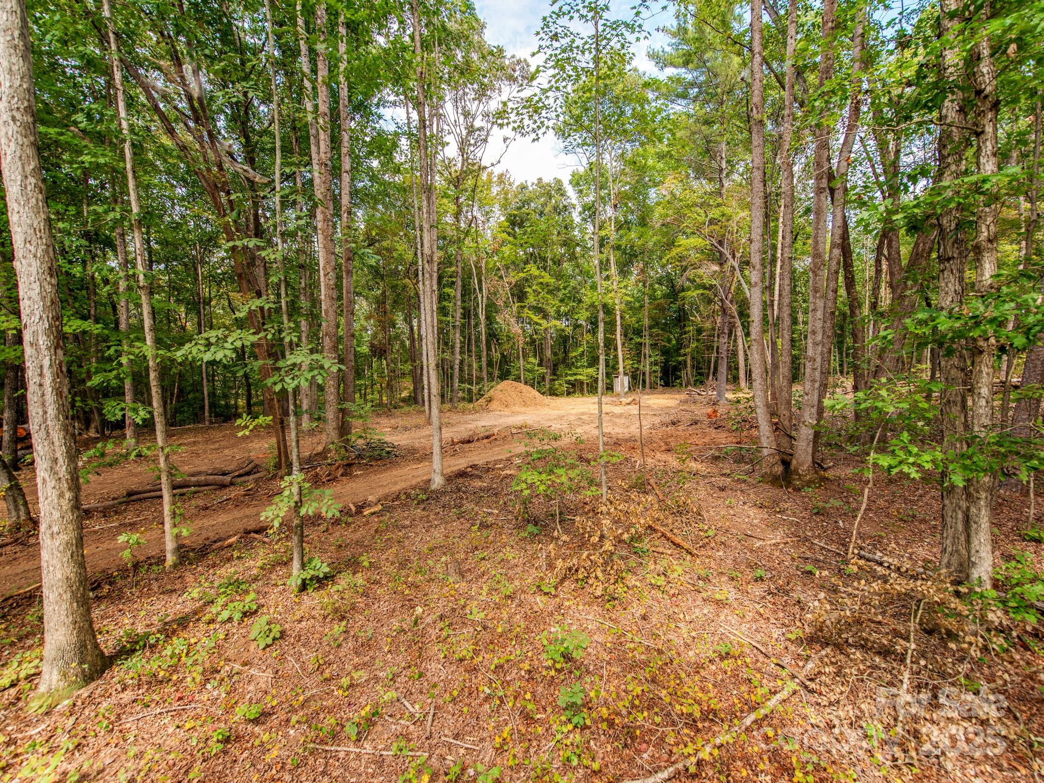 481 Eupeptic Springs Road, Unit LOT 5 Olin, NC 28660 - Photo 2 of 20 a view of a forest with trees