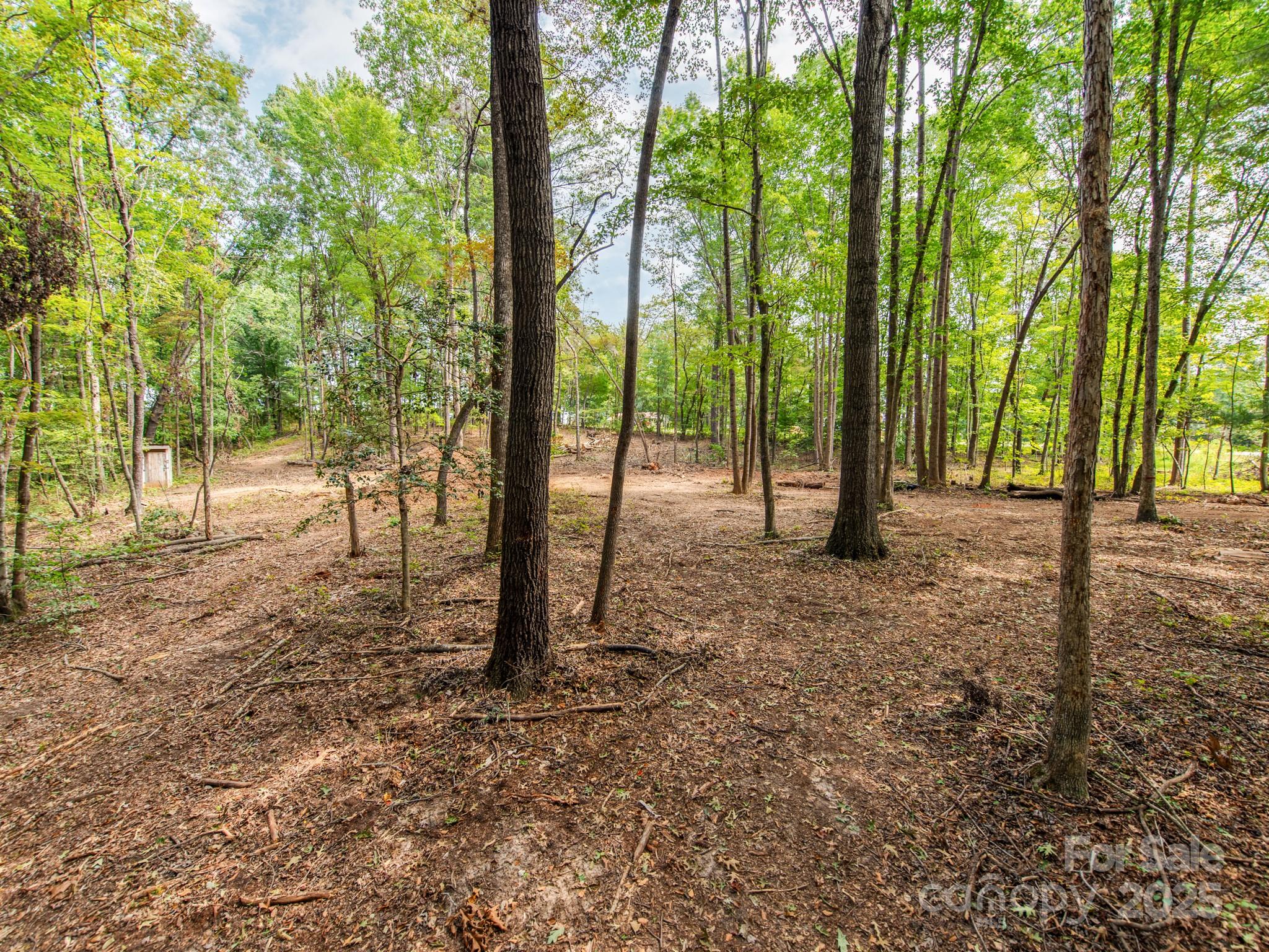 481 Eupeptic Springs Road, Unit LOT 5 Olin, NC 28660 - Photo 3 of 20 a view of a forest with trees