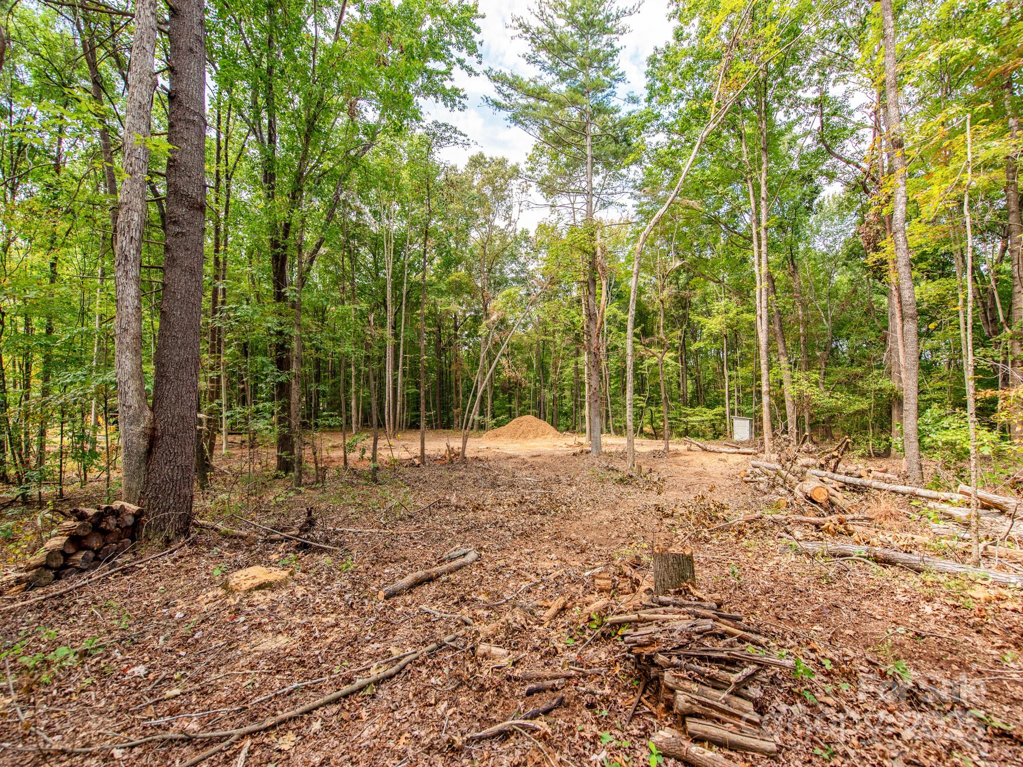 481 Eupeptic Springs Road, Unit LOT 5 Olin, NC 28660 - Photo 4 of 20 a view of backyard with large trees